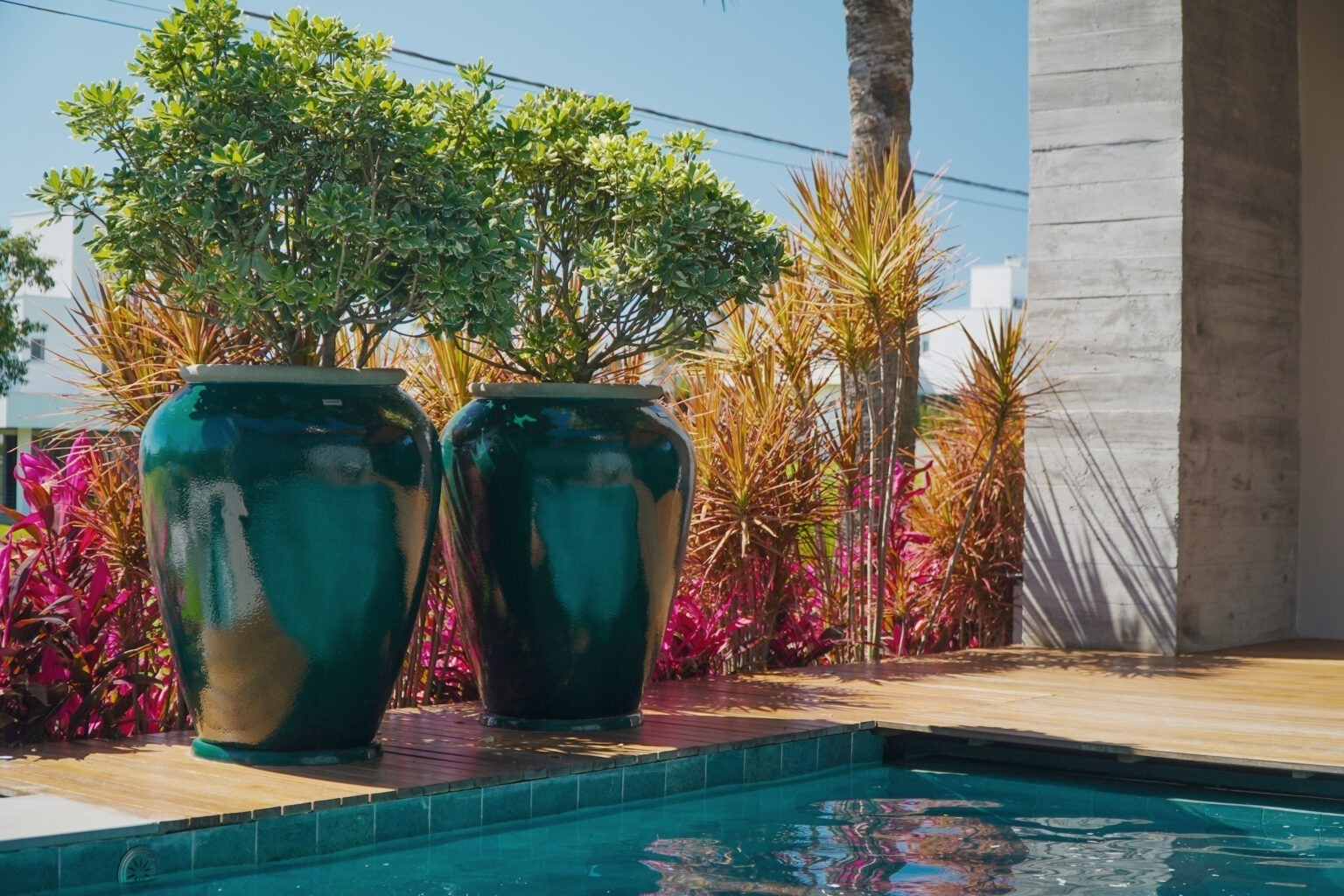 Paisagismo Para Piscina: 5 Dicas Para Sua Decoração - Vaso & Cor Blog