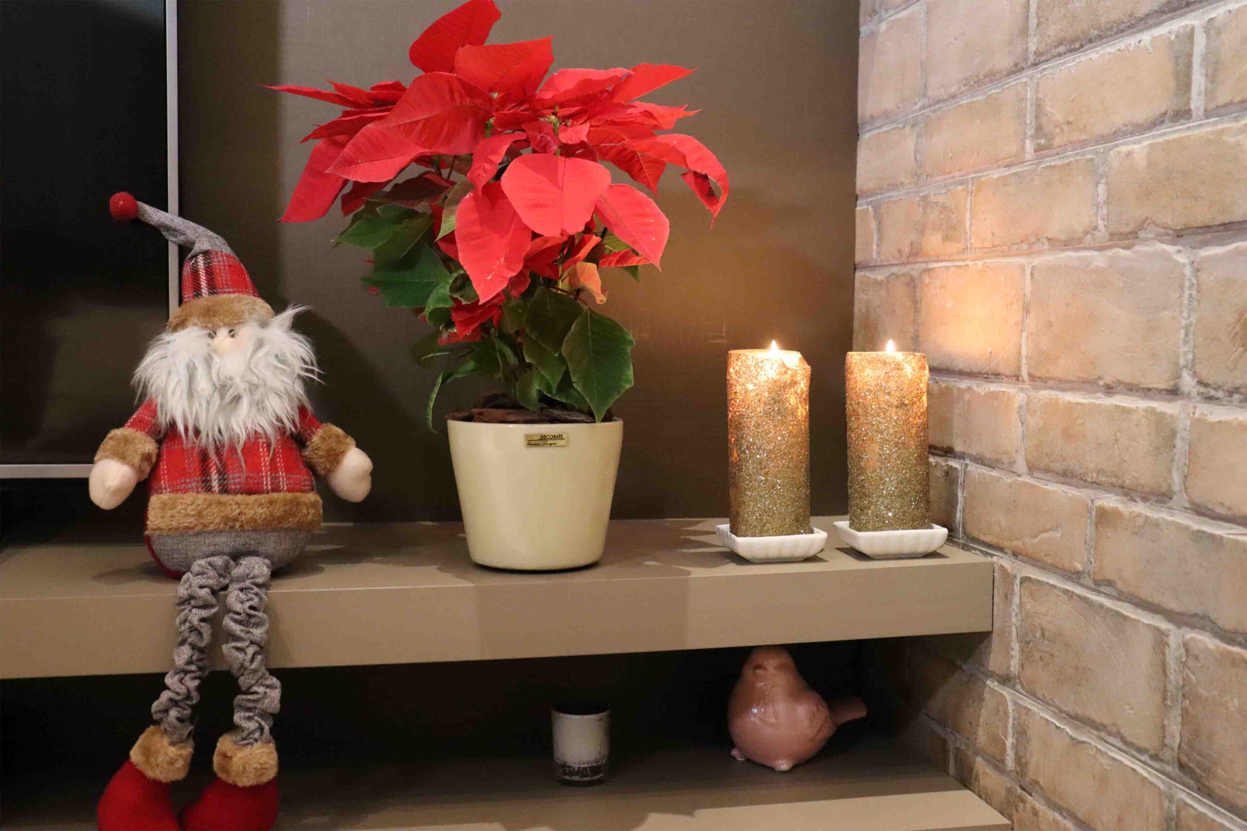 Decoração de Natal com vasos de planta? É possível - Vaso & Cor Blog