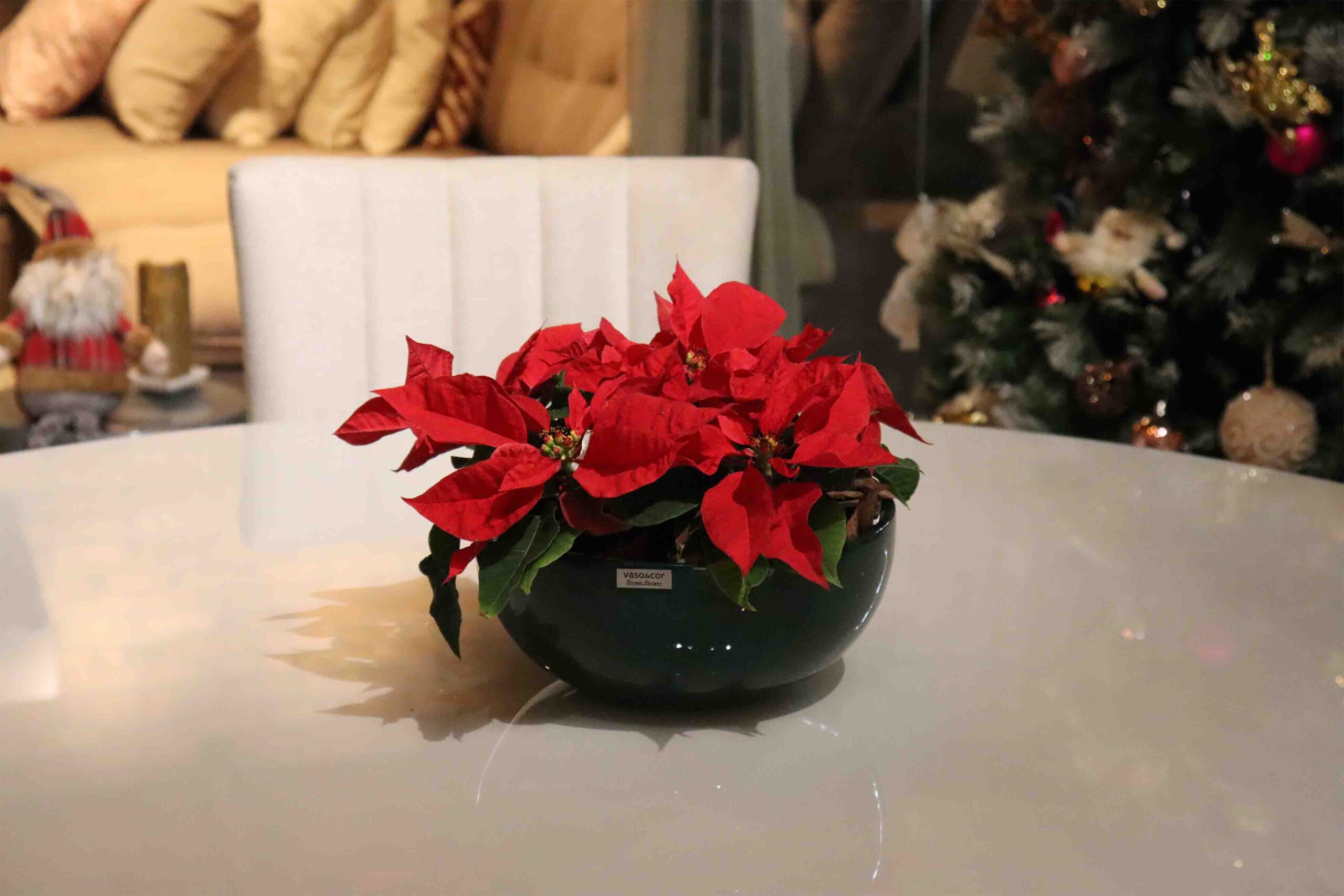 Decoração de Natal com vasos de planta? É possível - Vaso & Cor Blog
